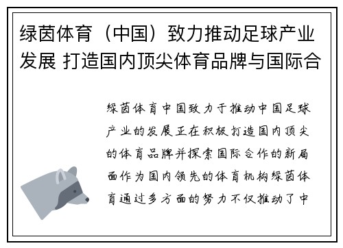绿茵体育（中国）致力推动足球产业发展 打造国内顶尖体育品牌与国际合作新局面